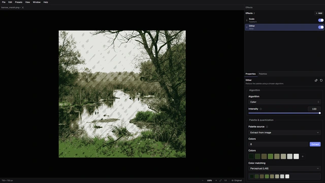 A landscape image preview with palette-based processing and adjustable controls.