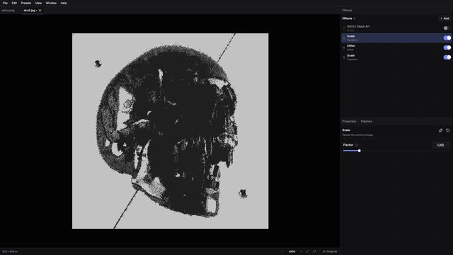 A monochrome skull image rendered with configurable image-processing stages.
